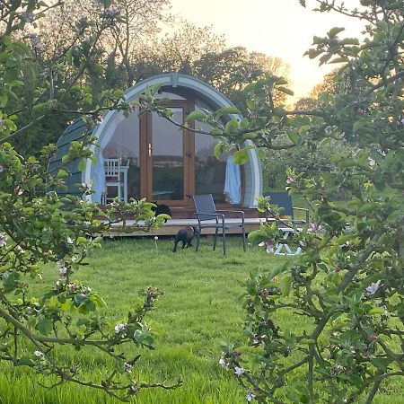 Отель Orchard Luxe Glamping Pod Данганнон Экстерьер фото