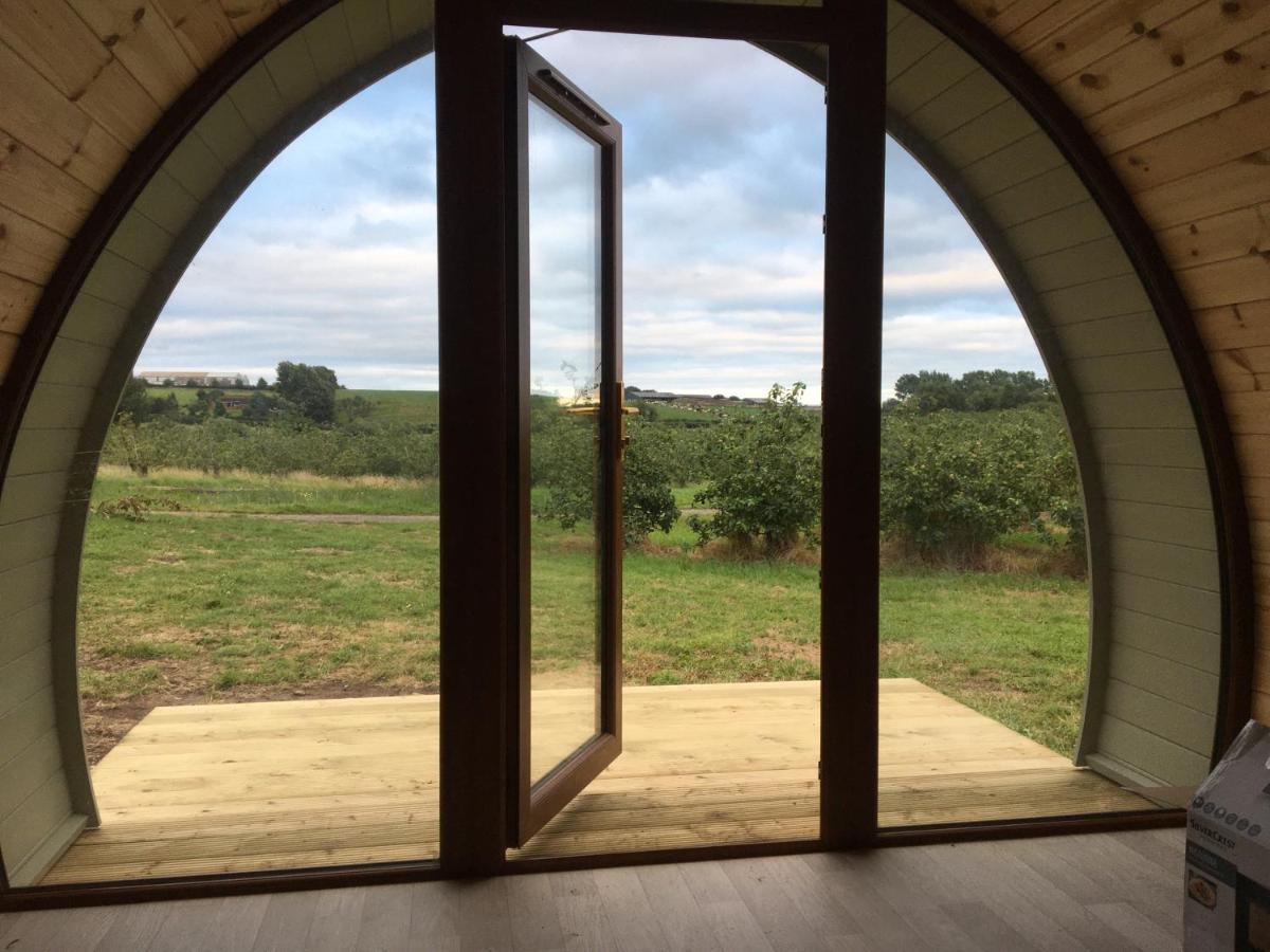 Отель Orchard Luxe Glamping Pod Данганнон Экстерьер фото