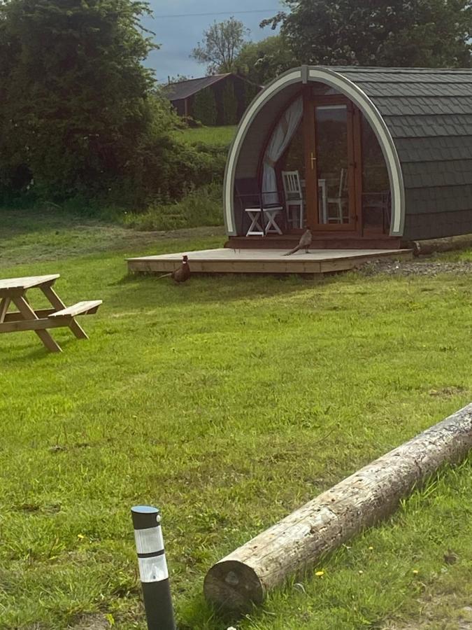 Отель Orchard Luxe Glamping Pod Данганнон Экстерьер фото